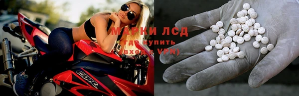 трава Аркадак