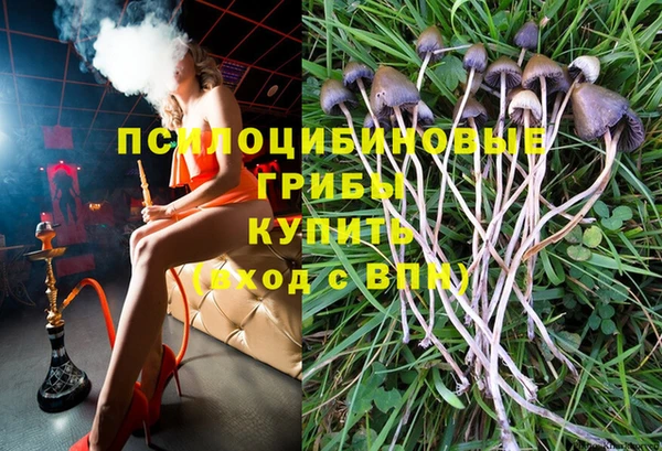 трава Аркадак