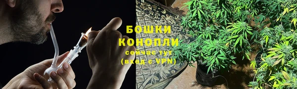 трава Аркадак