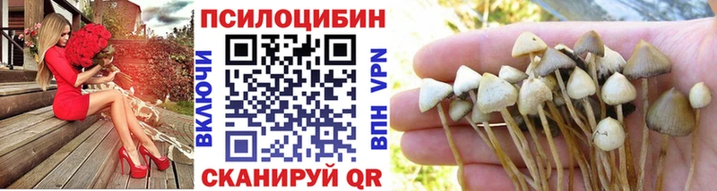 Псилоцибиновые грибы Psilocybine cubensis  цены   Суоярви 